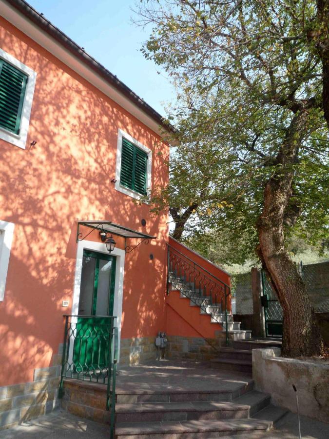 Ai 2 Olmi - Monolocali Nel Verde Múggia Εξωτερικό φωτογραφία